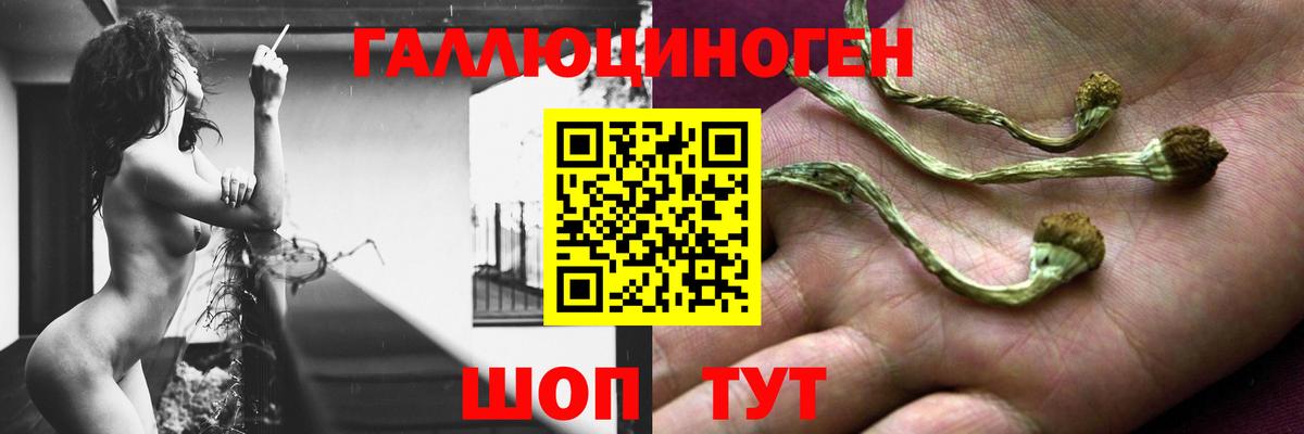Псилоцибиновые грибы ЛСД  Вход с VPN  Рязань  Галлюциногенные грибы ЛСД 