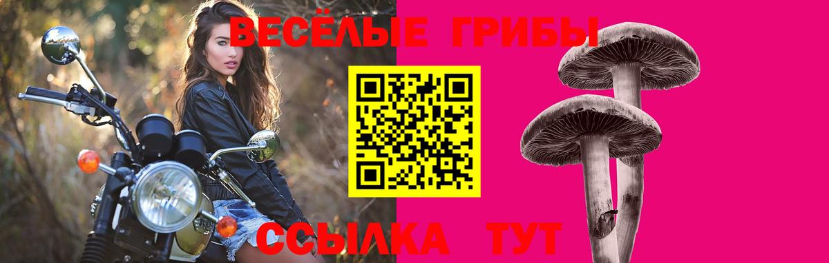 Галлюциногенные грибы MAGIC MUSHROOMS Рязань
