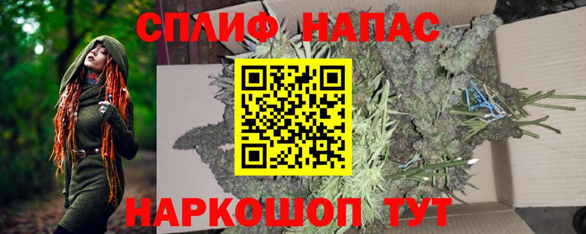 Бошки Шишки план Рязань